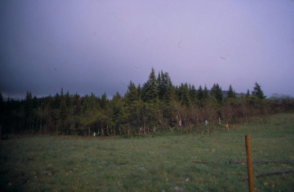 김차섭이 촬영한 풍경 사진