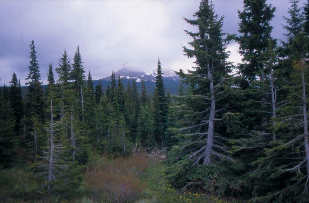 김차섭이 촬영한 풍경 사진