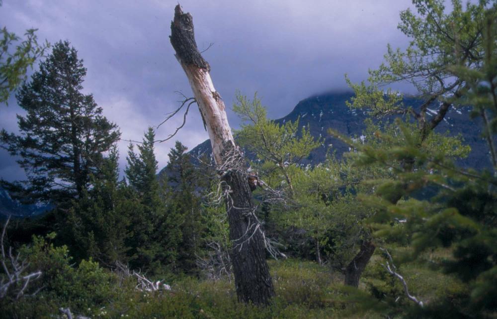 김차섭이 촬영한 풍경 사진