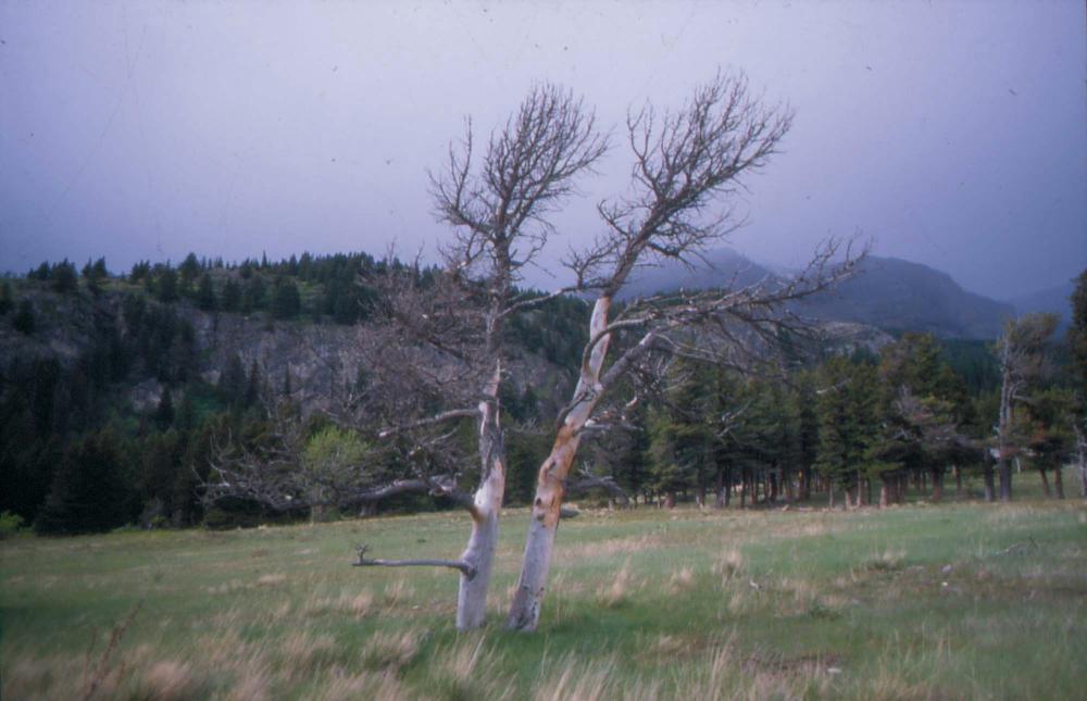 김차섭이 촬영한 풍경 사진