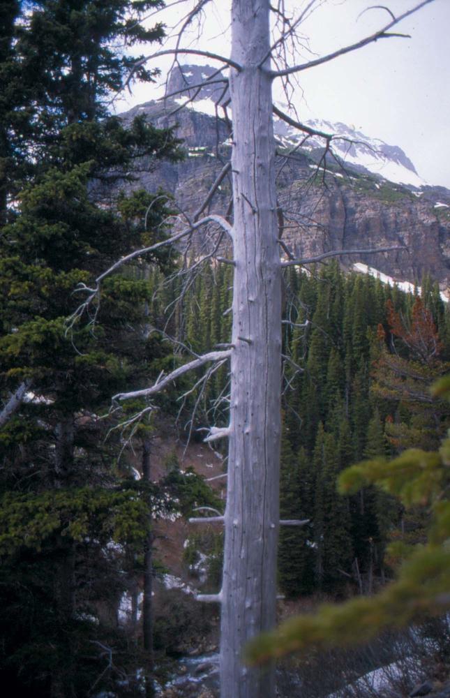 김차섭이 촬영한 풍경 사진