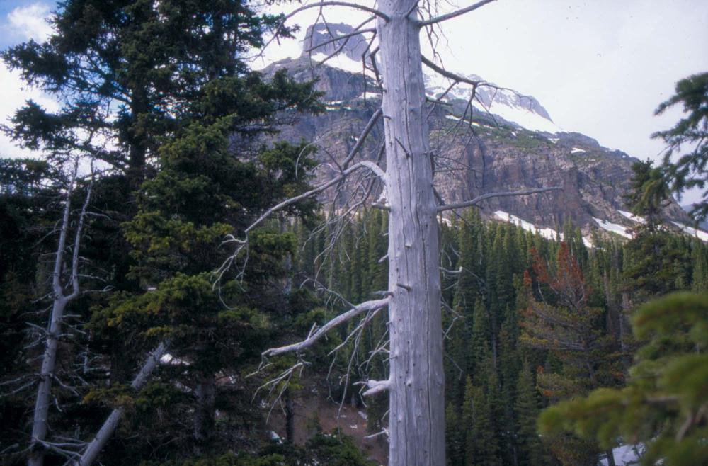 김차섭이 촬영한 풍경 사진