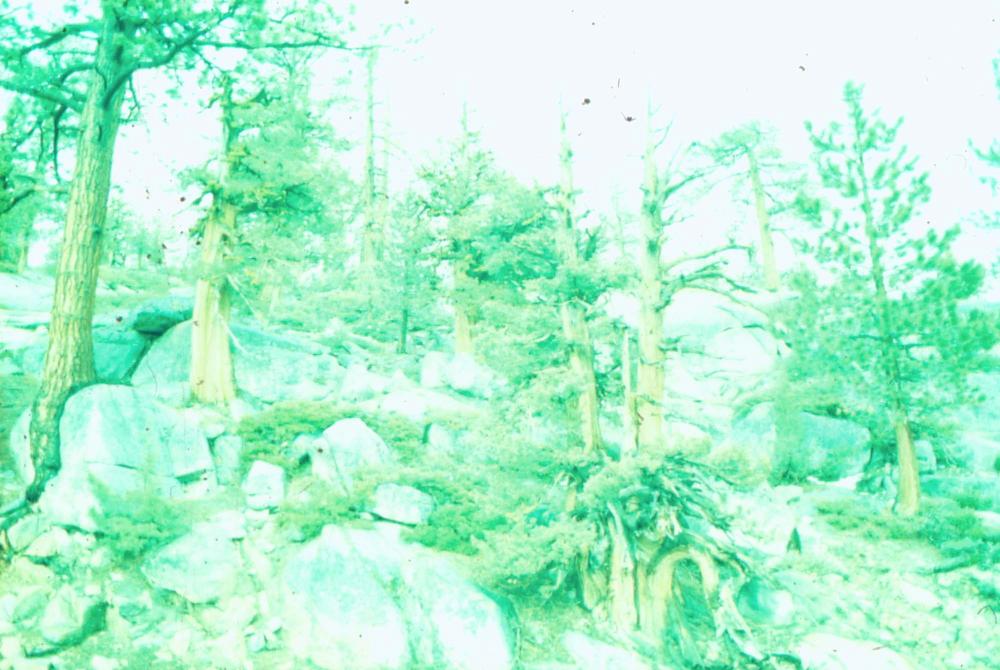 김차섭이 촬영한 풍경 사진