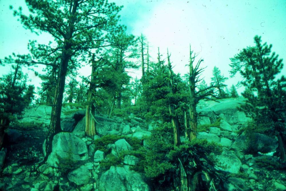 김차섭이 촬영한 풍경 사진