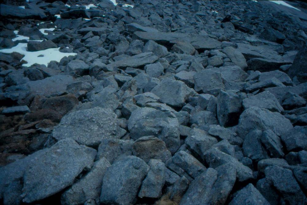 김차섭이 촬영한 풍경 사진