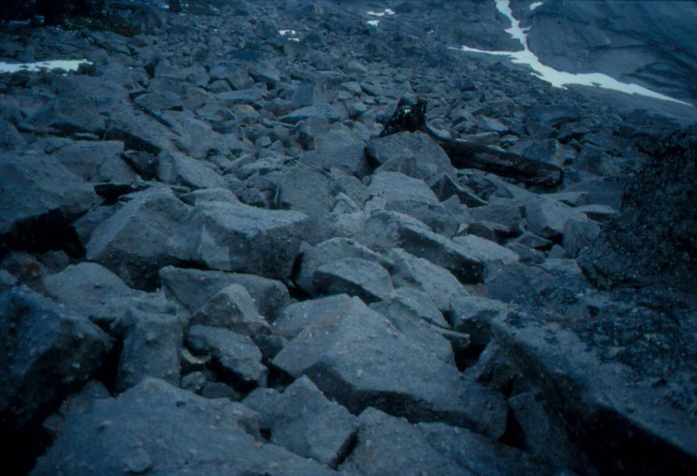 김차섭이 촬영한 풍경 사진