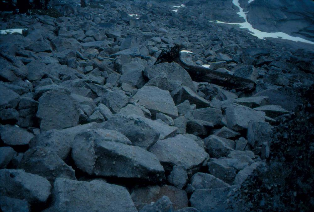 김차섭이 촬영한 풍경 사진