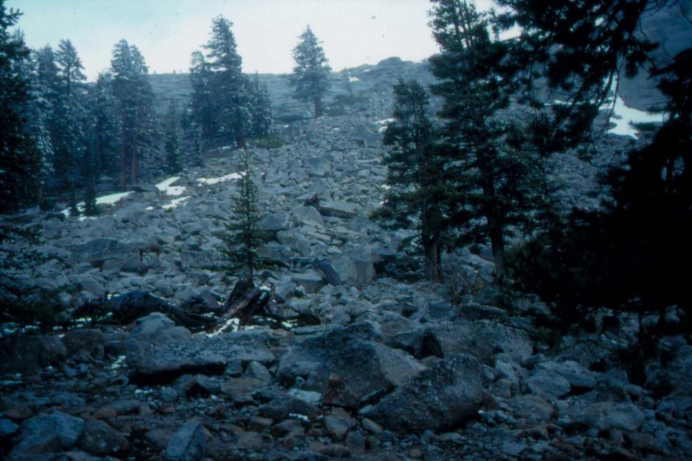 김차섭이 촬영한 풍경 사진