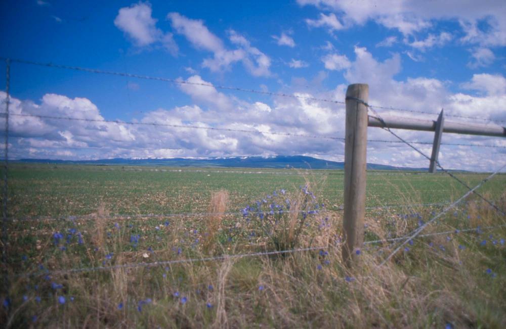 김차섭이 촬영한 풍경 사진