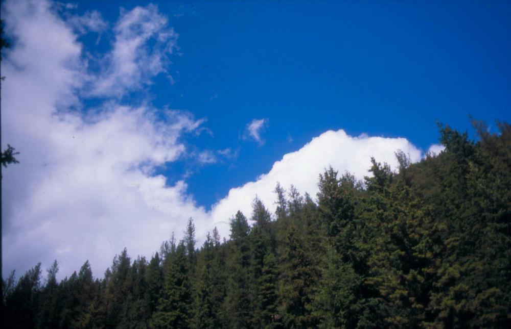 김차섭이 촬영한 풍경 사진