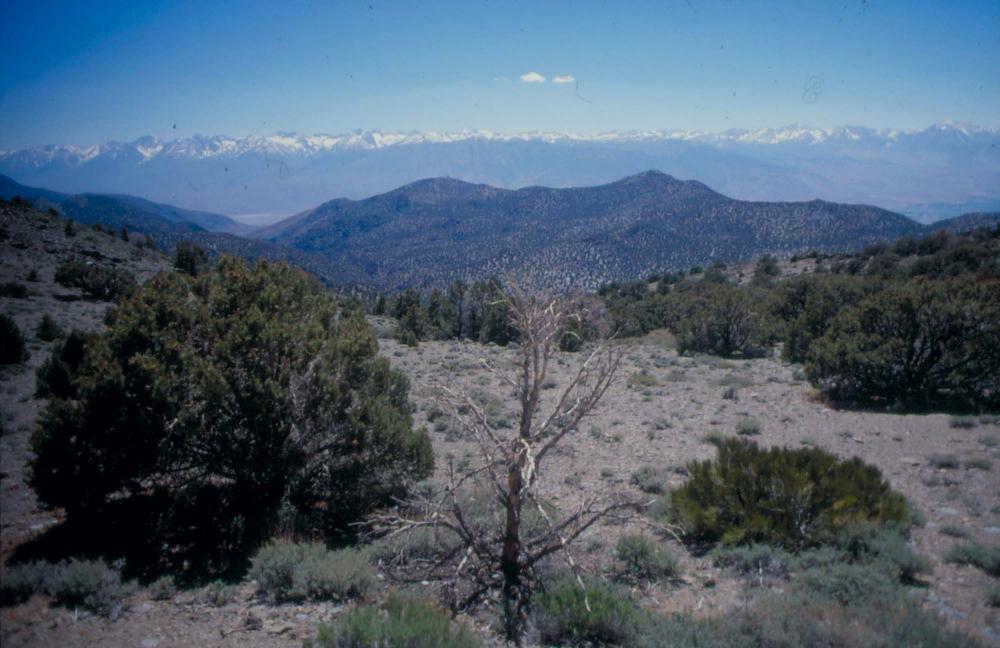 김차섭이 촬영한 풍경 사진