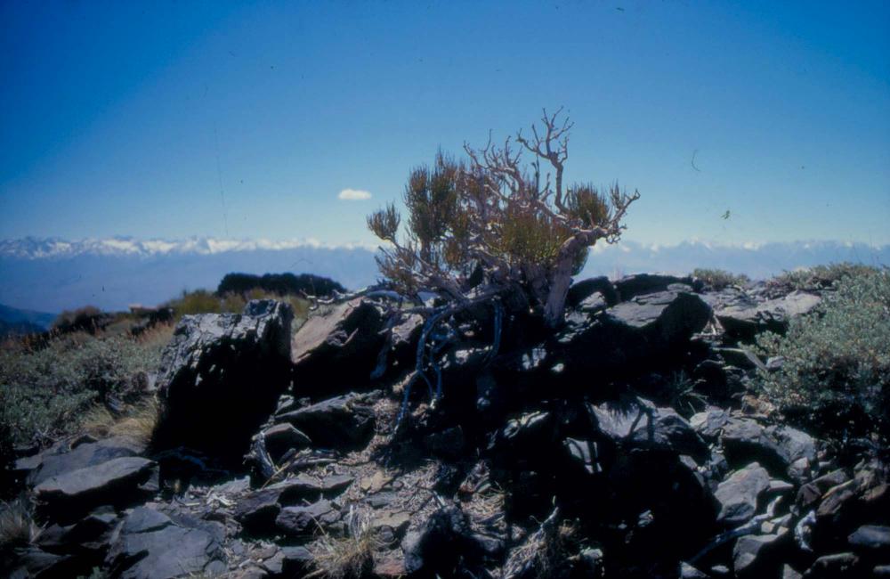 김차섭이 촬영한 풍경 사진