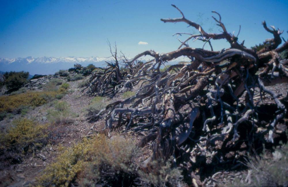 김차섭이 촬영한 풍경 사진