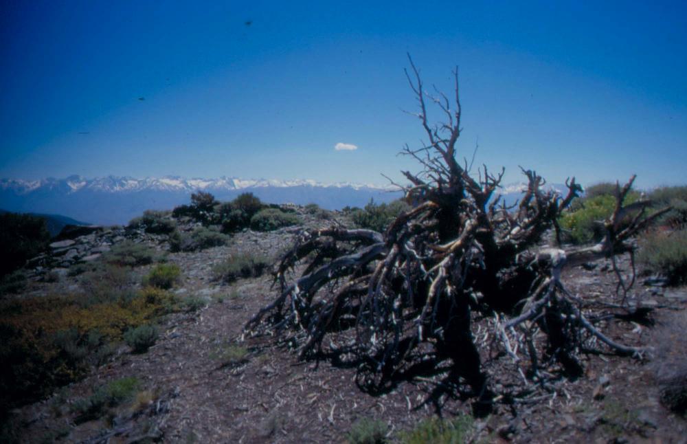 김차섭이 촬영한 풍경 사진