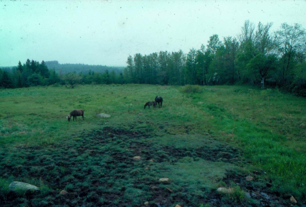 김차섭이 촬영한 풍경 사진