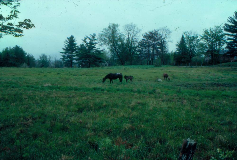 김차섭이 촬영한 풍경 사진