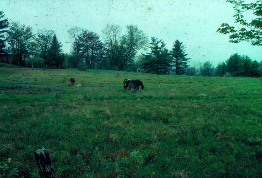 김차섭이 촬영한 풍경 사진