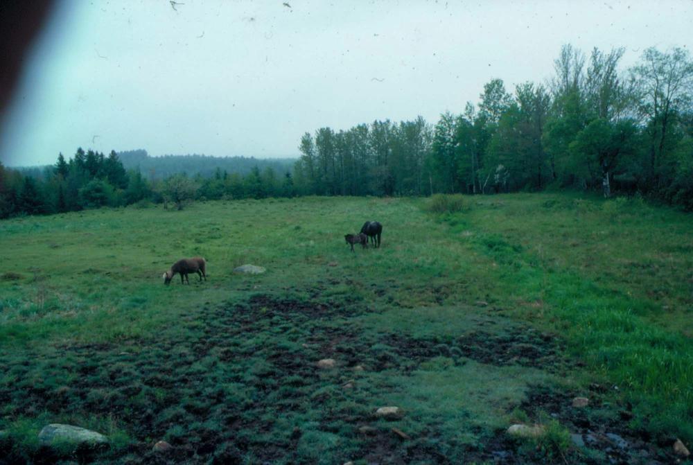 김차섭이 촬영한 풍경 사진