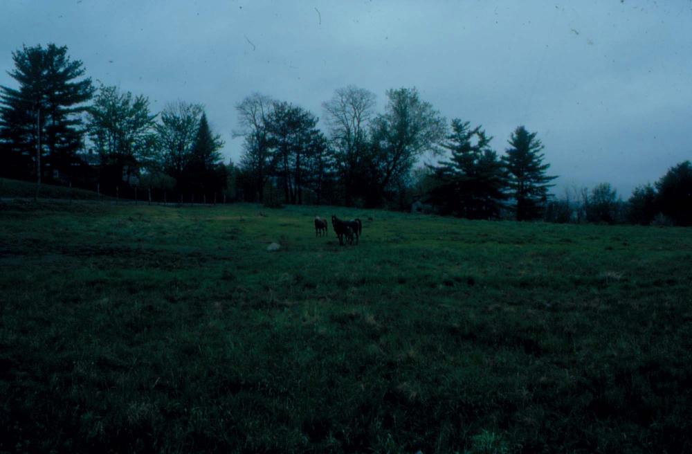 김차섭이 촬영한 풍경 사진