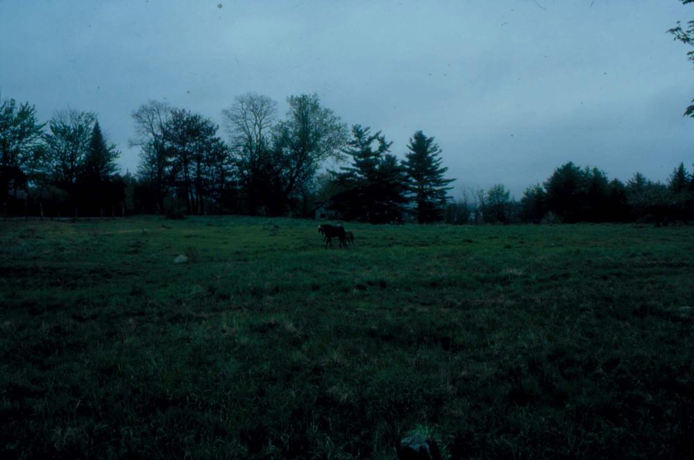 김차섭이 촬영한 풍경 사진