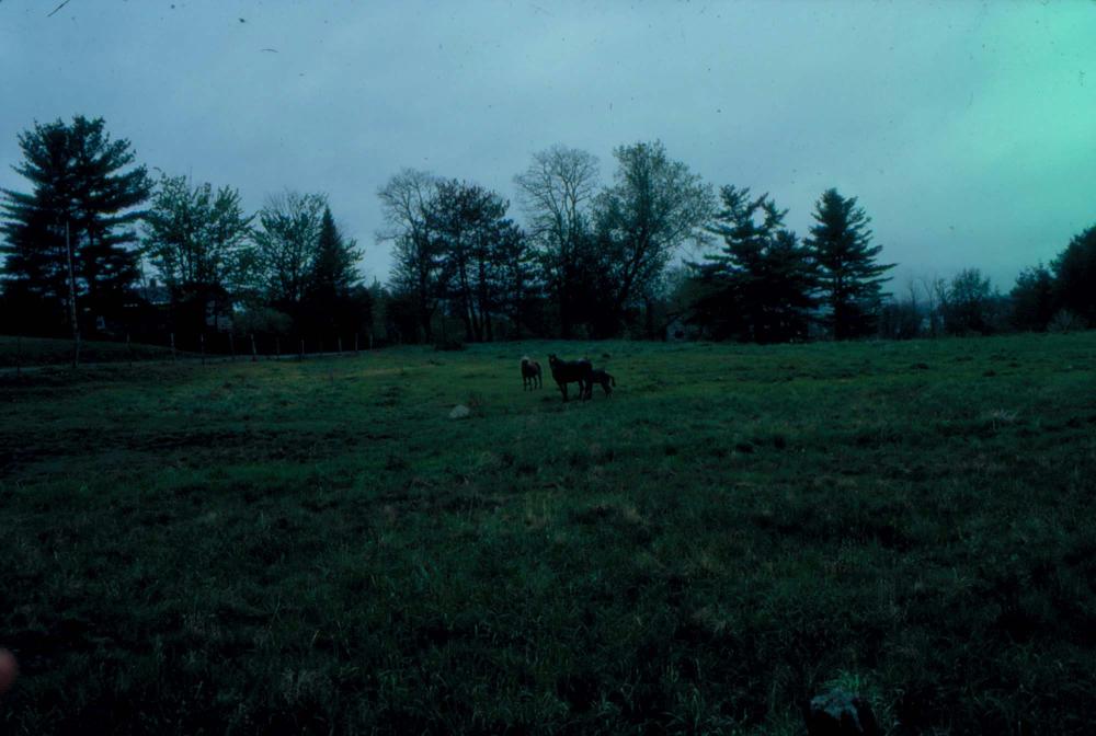 김차섭이 촬영한 풍경 사진