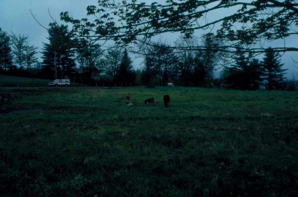 김차섭이 촬영한 풍경 사진