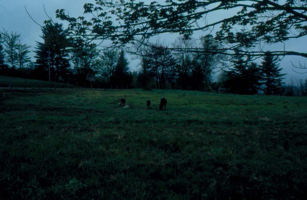 김차섭이 촬영한 풍경 사진