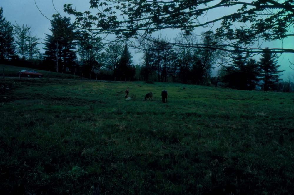 김차섭이 촬영한 풍경 사진