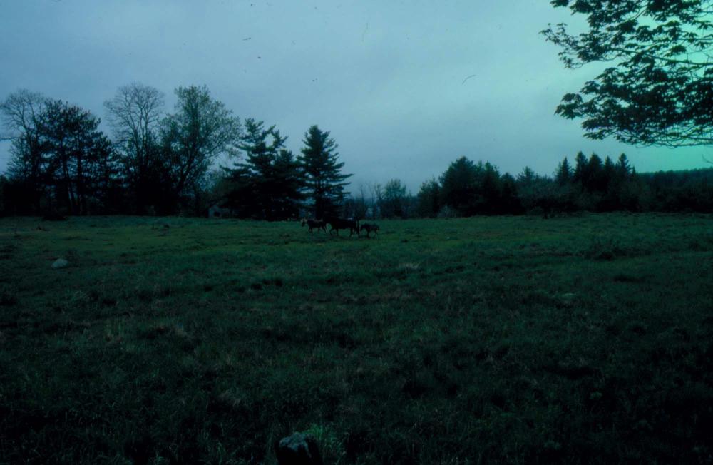 김차섭이 촬영한 풍경 사진