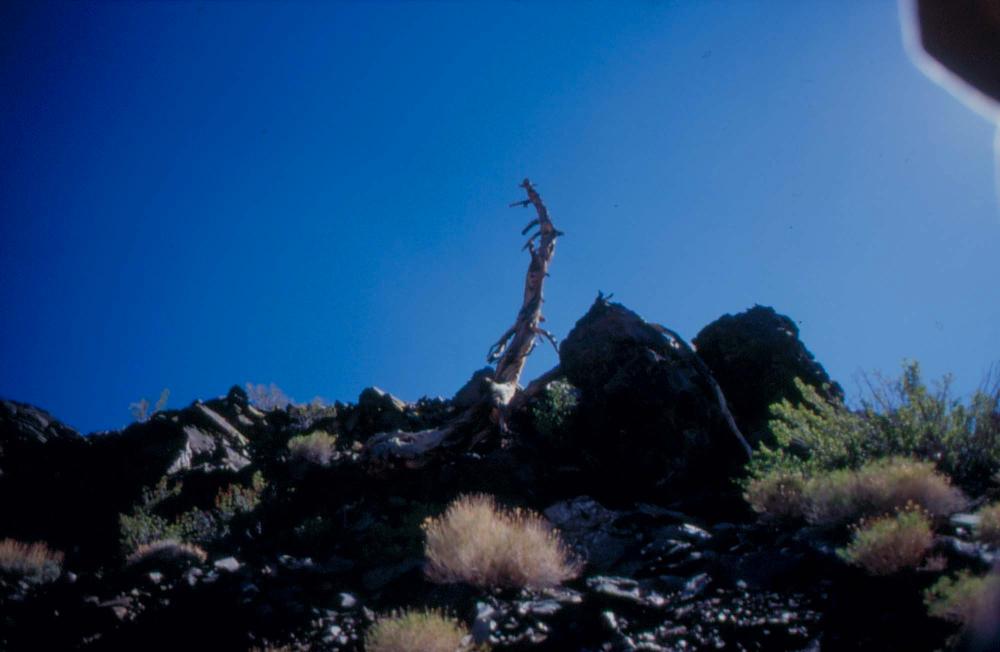김차섭이 촬영한 풍경 사진