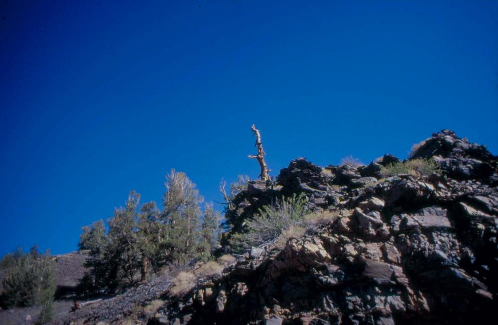 김차섭이 촬영한 풍경 사진