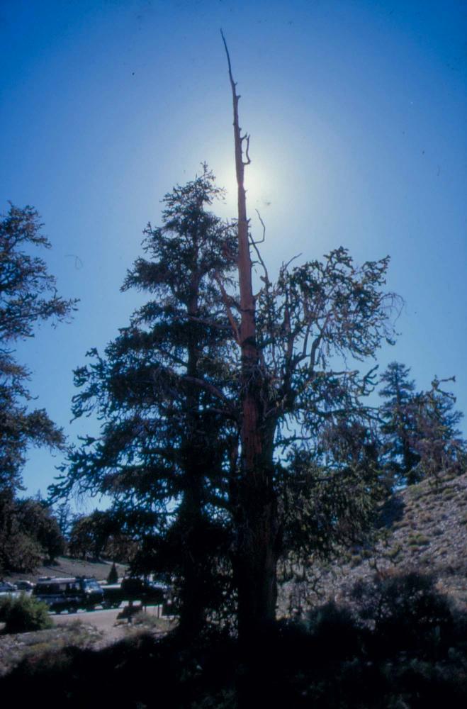 김차섭이 촬영한 풍경 사진