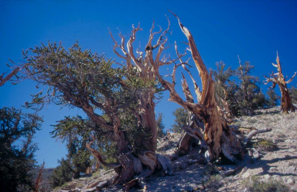 김차섭이 촬영한 풍경 사진