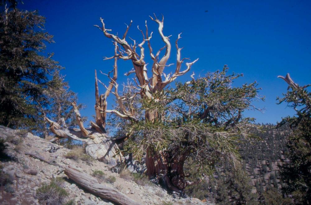 김차섭이 촬영한 풍경 사진
