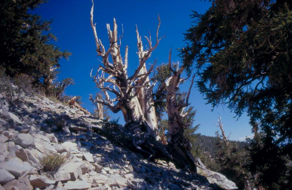 김차섭이 촬영한 풍경 사진