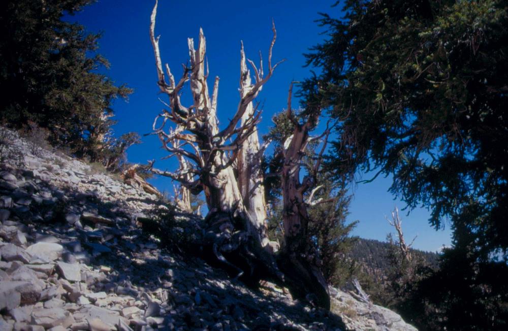 김차섭이 촬영한 풍경 사진