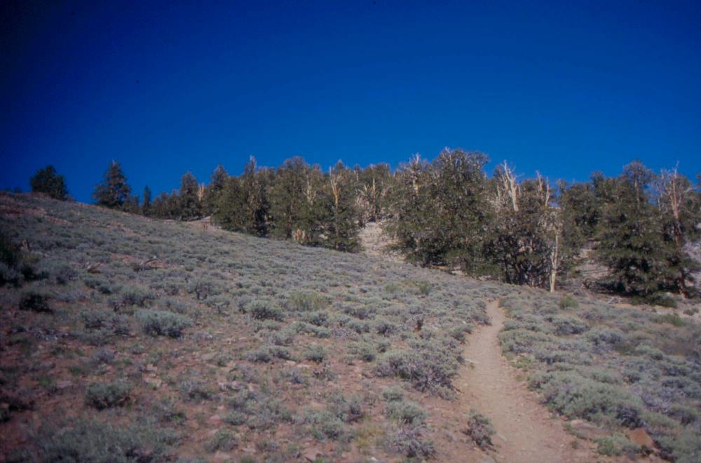김차섭이 촬영한 풍경 사진