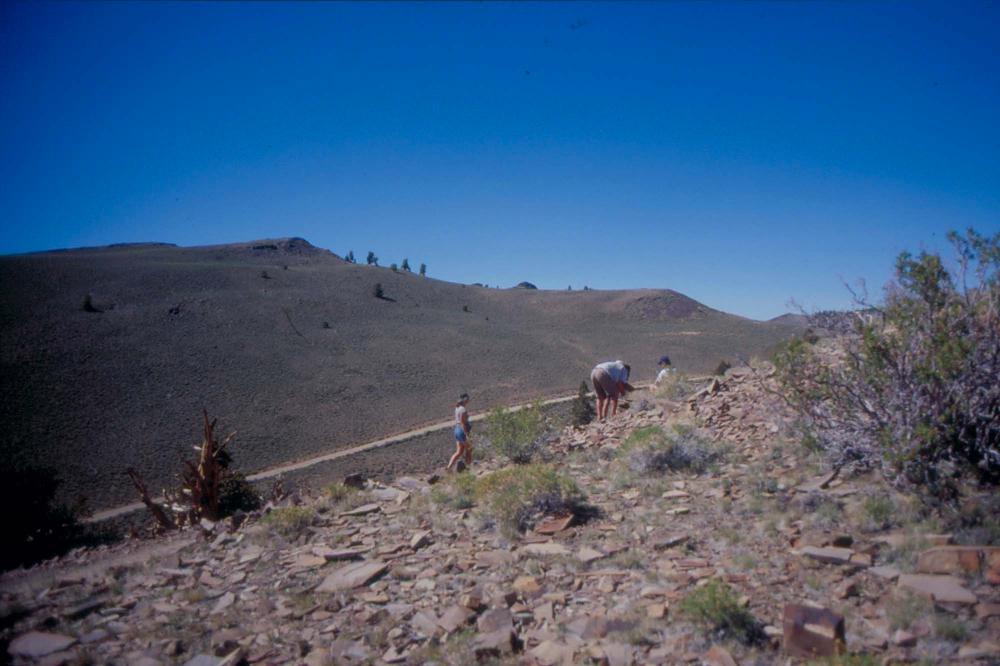 김차섭이 촬영한 풍경 사진