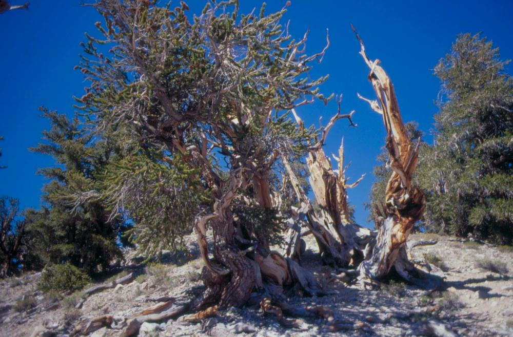 김차섭이 촬영한 풍경 사진