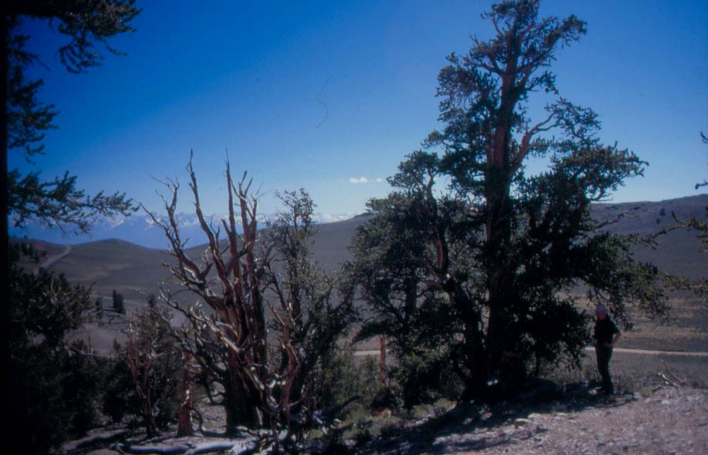 김차섭이 촬영한 풍경 사진