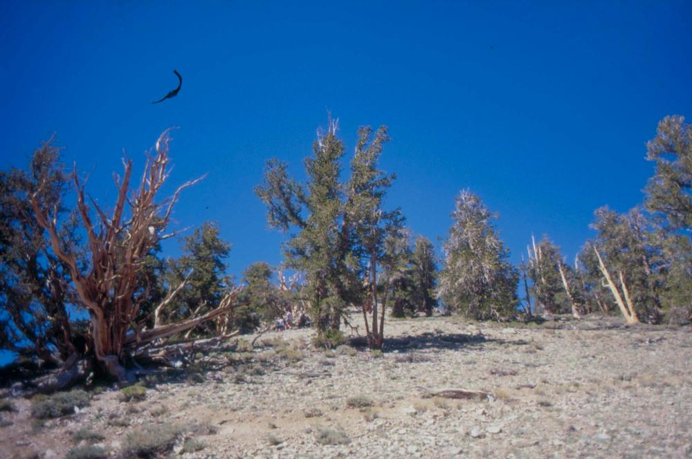 김차섭이 촬영한 풍경 사진