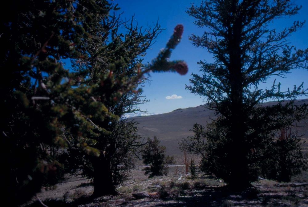 김차섭이 촬영한 풍경 사진