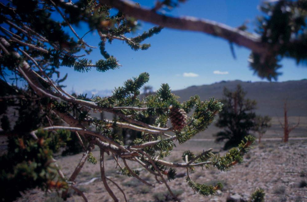 김차섭이 촬영한 풍경 사진