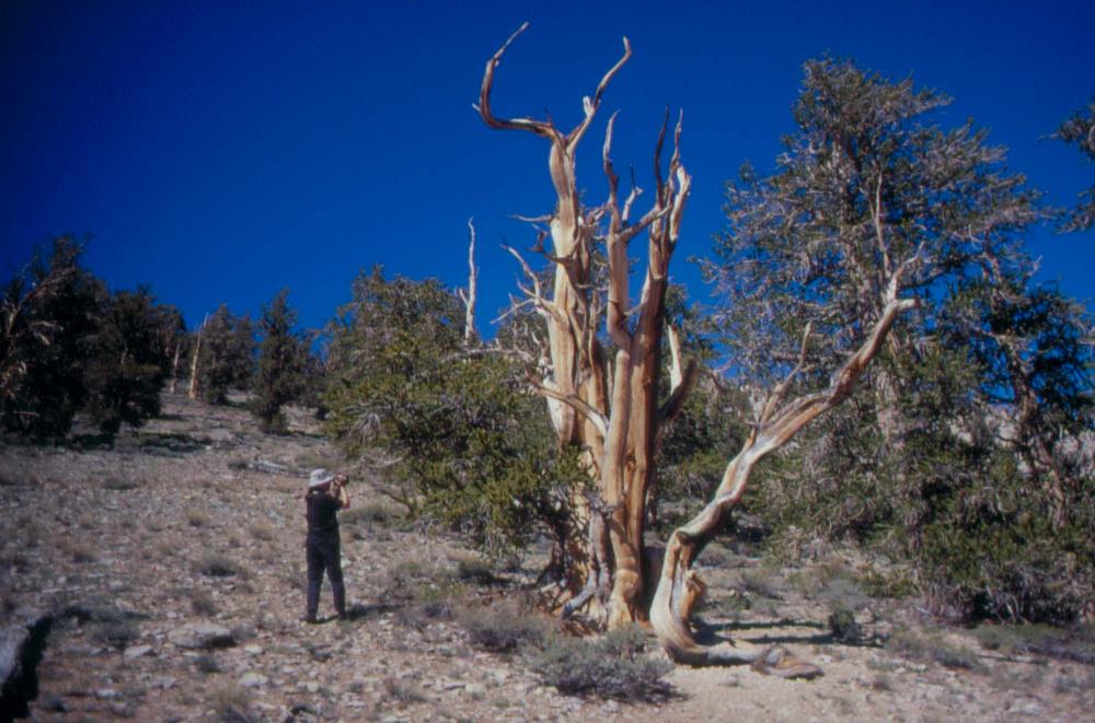 김차섭이 촬영한 풍경 사진