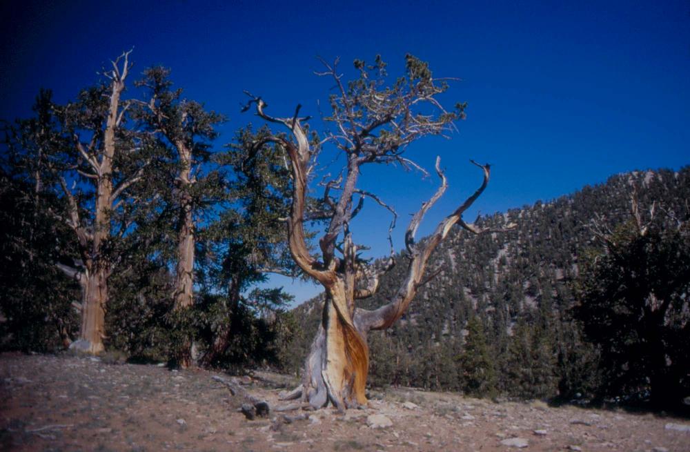 김차섭이 촬영한 풍경 사진