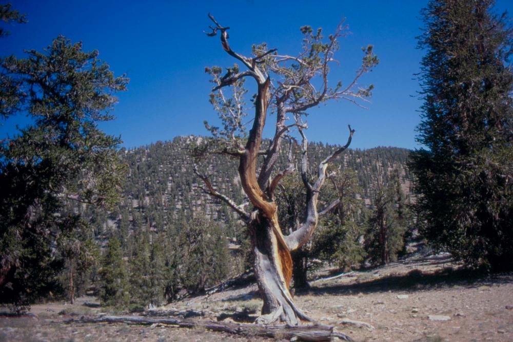 김차섭이 촬영한 풍경 사진