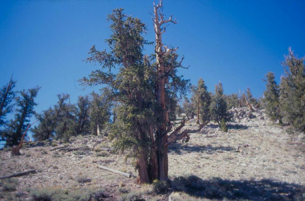 김차섭이 촬영한 풍경 사진
