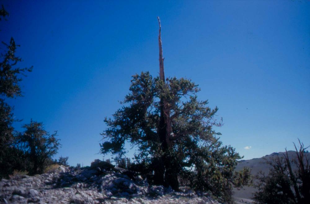 김차섭이 촬영한 풍경 사진