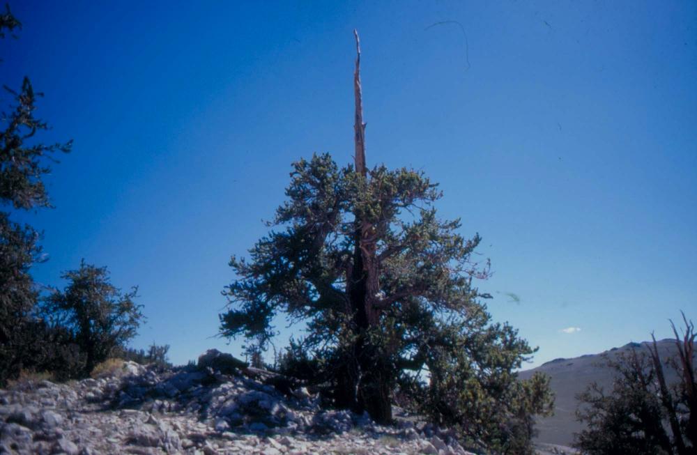 김차섭이 촬영한 풍경 사진