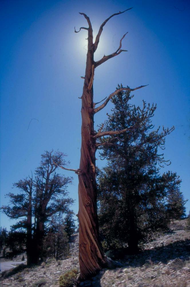 김차섭이 촬영한 풍경 사진